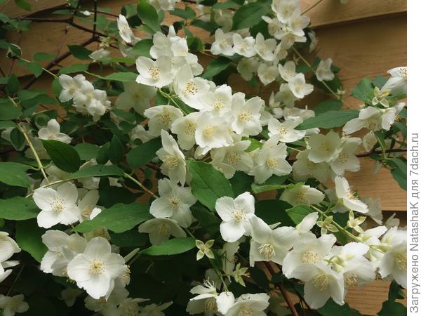 Вот так я в окно смотрю...