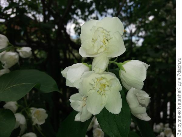 Невозможно не притронуться