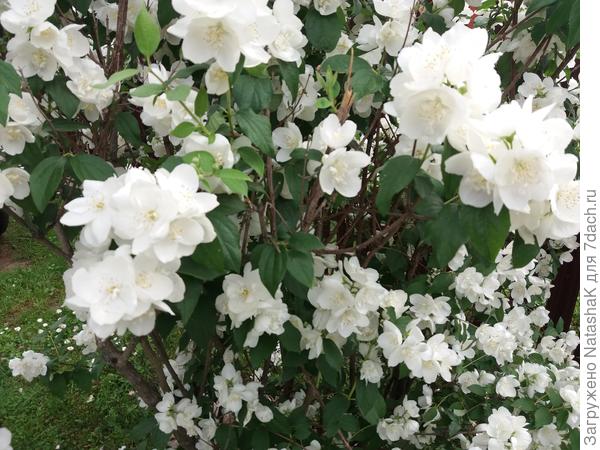 Без слов ....