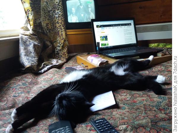 Притомилась семидачница