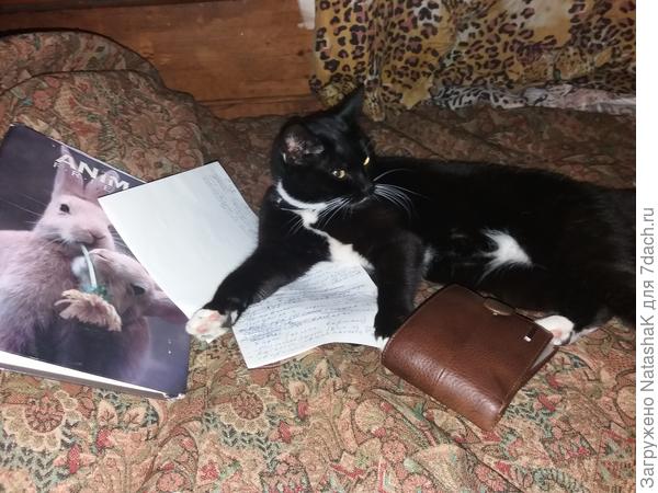 Бумажки, книжки и ... денюжку тоже любим