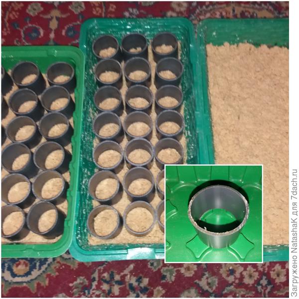 Мини парнички и бочонки