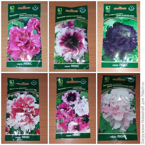 Выращиваемые сорта