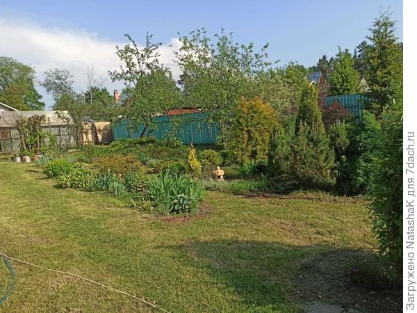 Только для примера - конечно, эта конкретная фотография не в конкурс