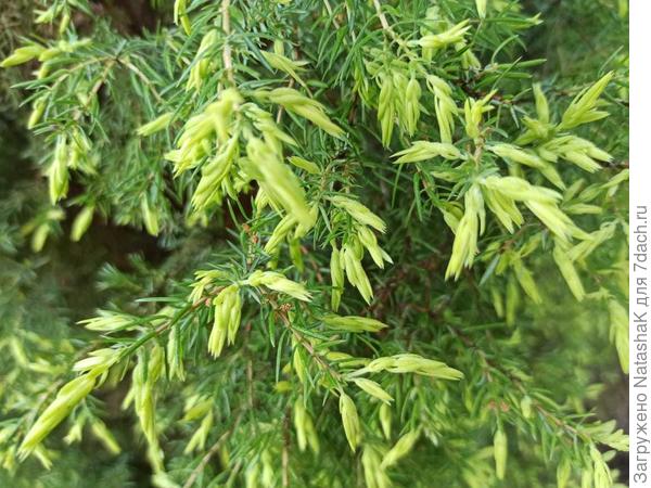 Еще поближе...