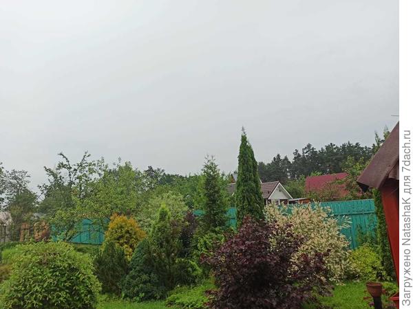 Все заволокло намертво - а прогноз ясно обещал!