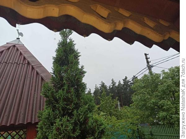 С крыши капает...