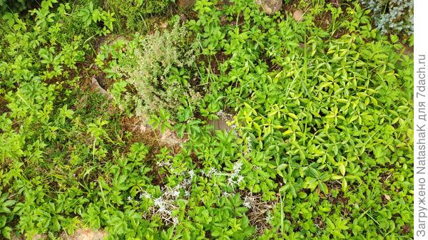 Это только маленький кусочек всего безобразия