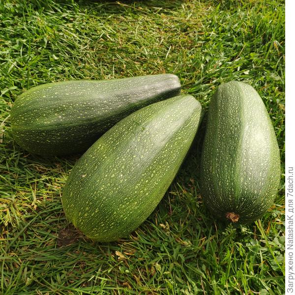 Не могу найти этикетку!!!