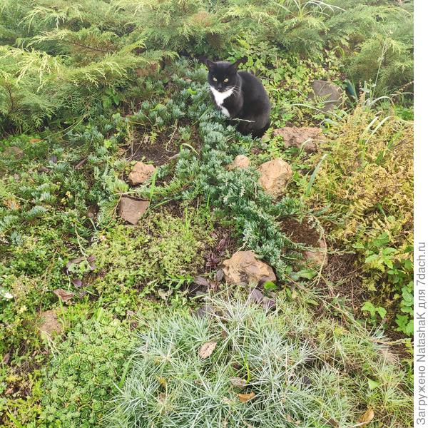 Высоко сидим, далеко глядим - Алиса на горке