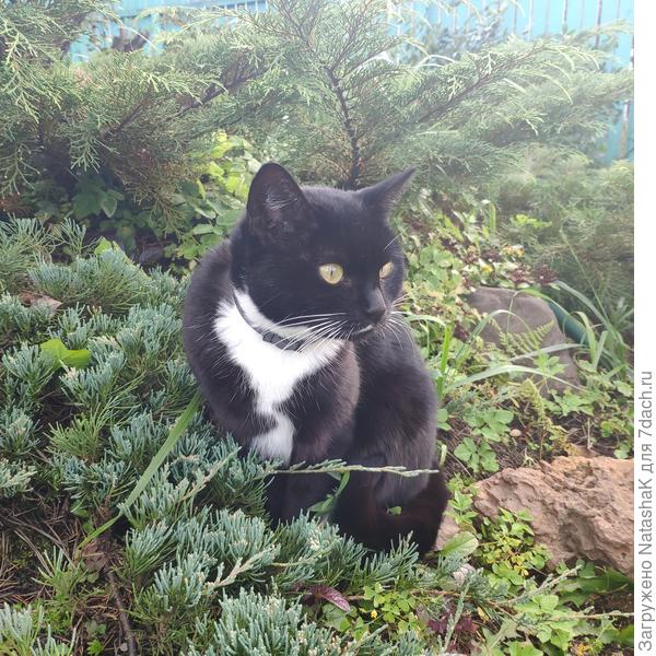 Что-то углядела