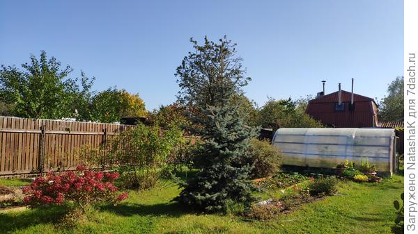 Пионы и лилейники уже срезаны