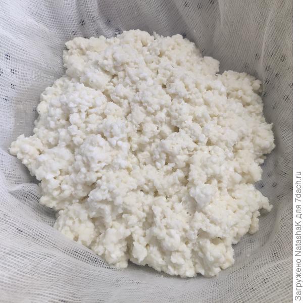 Сыр из деревенского молока и творога с прованскими травами. Пошаговый рецепт с фото () Сыр из деревенского молока и творога с прованскими травами. Пошаговый рецепт с фото