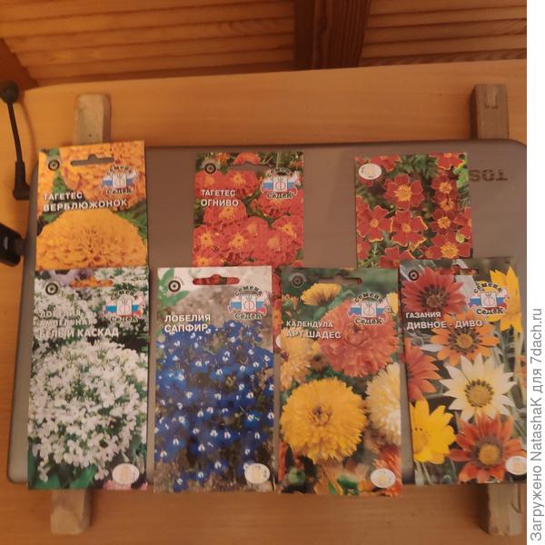 Немного цветов ... Забыла однолетние георгины заказать - докуплю!