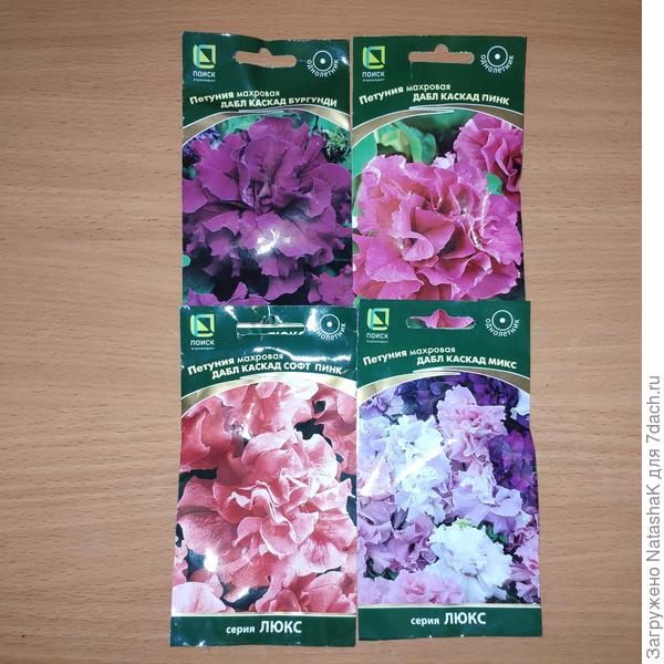 Планируются в этом году... Бургунди на самом деле больше в цвета вишни в реальности.