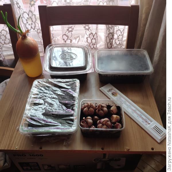 Стул, коробка с мясорубкой, доска - земляника в красивом контейнере