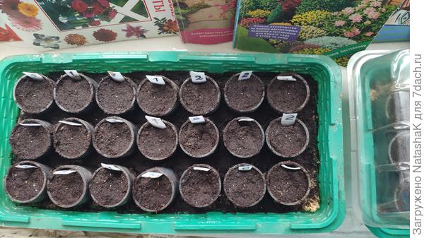 Еще к этим два минипарника по 14 штук