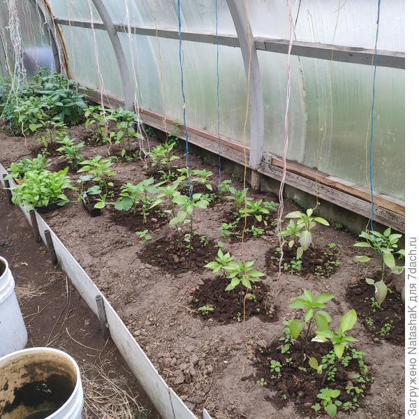 Неделю назад