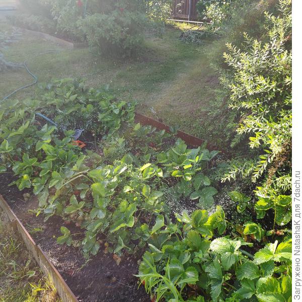 Фонтанчики за фонтанчиками