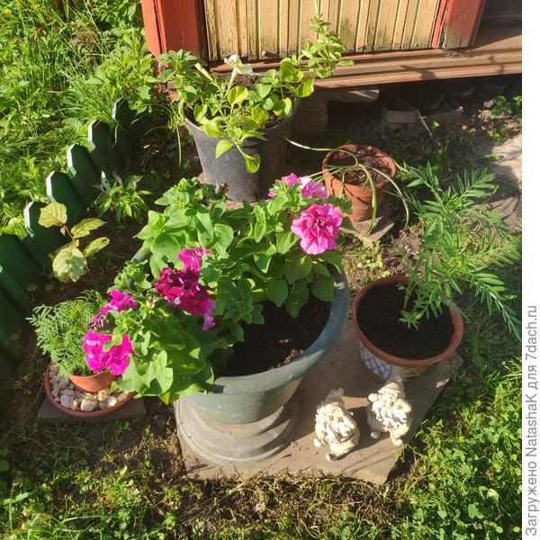 &quot;Сборная солянка&quot; - рабочий вариант, конечно, я с этим что-нибудь сделаю...)))