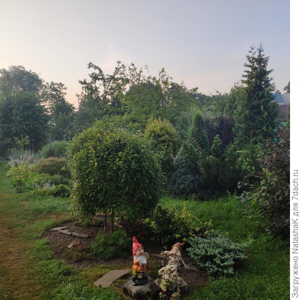 Сейчас - утро после дождя