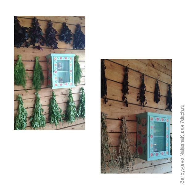 Процесс сушки