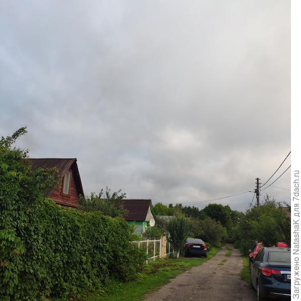 От участка в противоположную сторону - в конце улицы лес