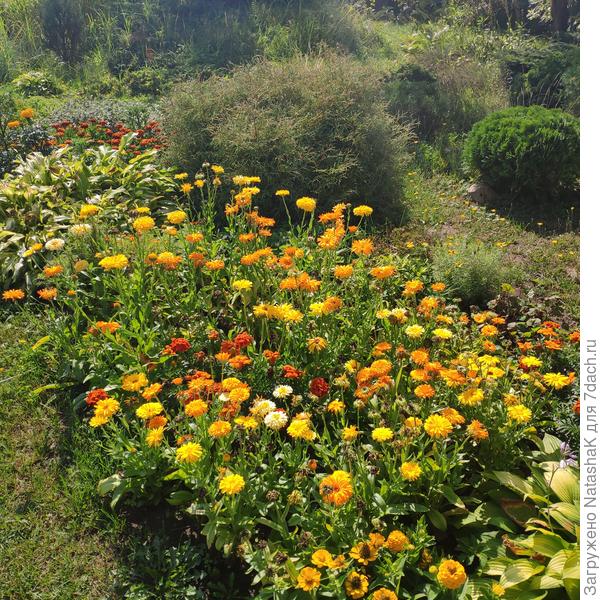 А вот такой этот миксбордер был летом!