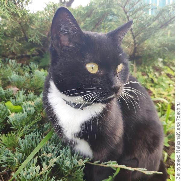 Наблюдаем...