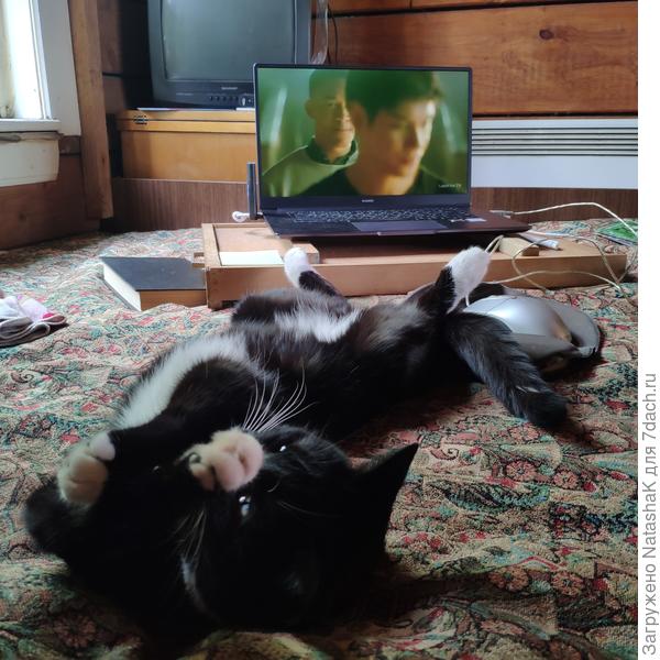 Полный балдеж...