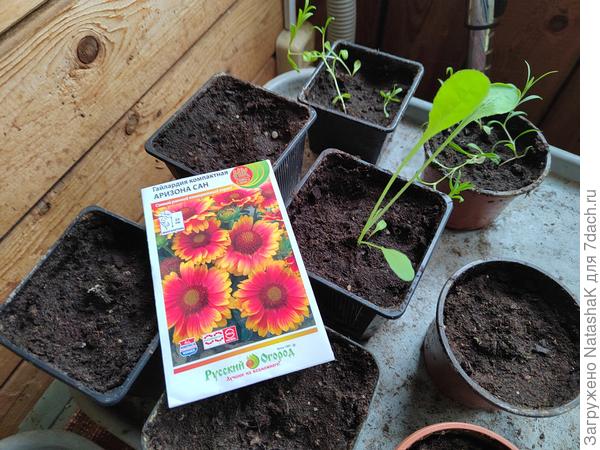 Буду выпестывать всеми силами и средствами