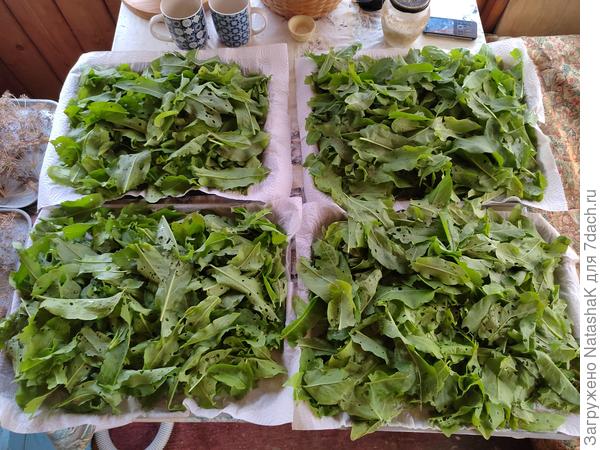 Подсушивается перед заморозкой