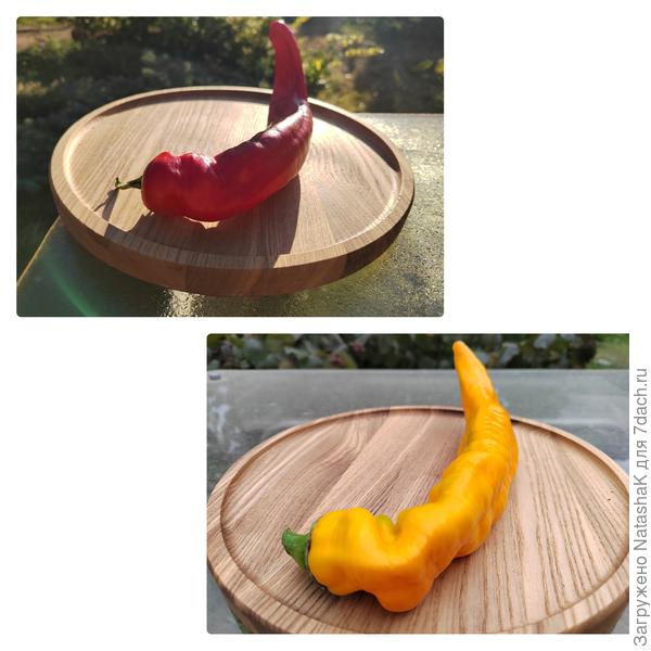 Первые красный, первый оранжевый Палермо, желтого жду.