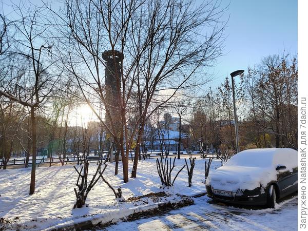 Это вид на Тишинскую площадь. За деревом на заднем плане - памятник дружбы России и Грузии, Зураб Церетели.