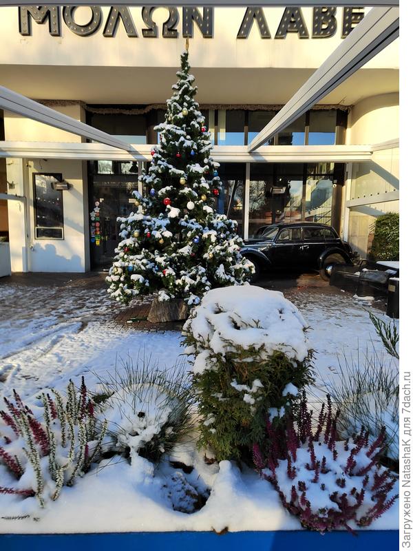 Ресторанчик напротив Тишинской площади, уже елку нарядили.
