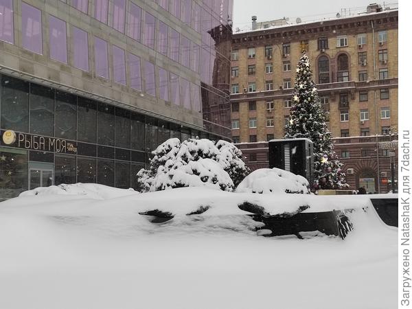 Ёлку уже поставили