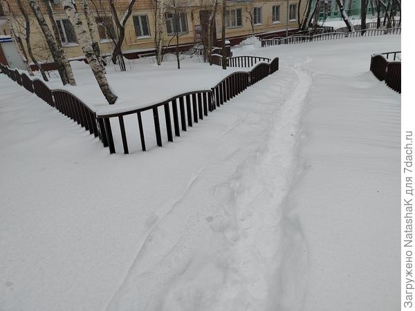 Это дорожка к дому