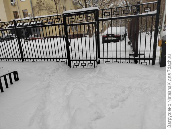 Заборы и шлагбаумы наше все - везде понаставлены