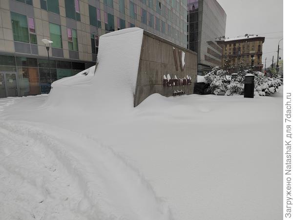 Напротив бизнес-центра на Бресткой