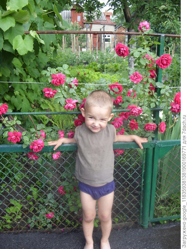 Это внук Феликс 6 лет назад