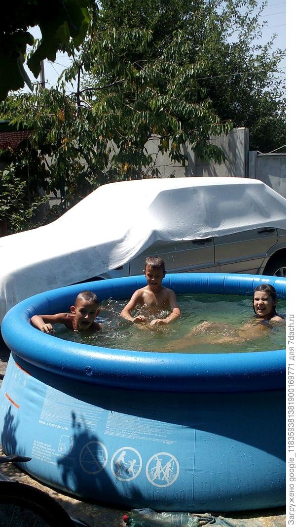 Это Феликс с друзьями у нас отдыхает. Лето, жара, а они счастливы!