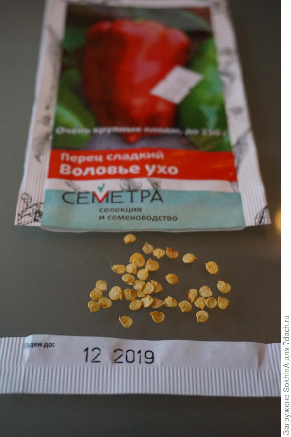 "Воловье Ухо", семена