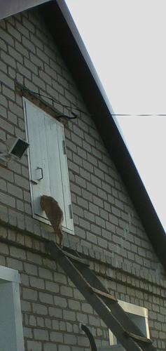 и это не он, а чердак как наш