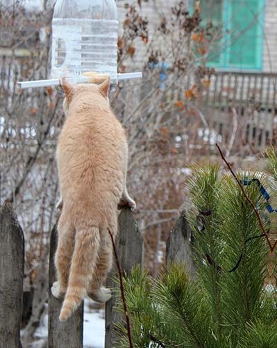 и это так же