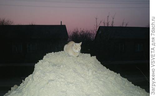 А это не Кузьма