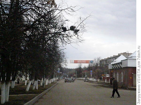 Лениногорск. Свадьба