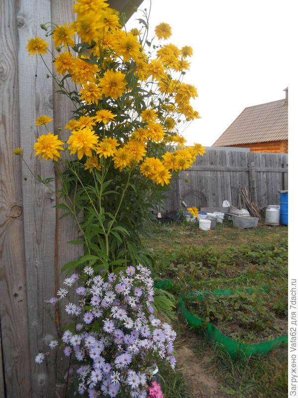 мы с лицевой стороны закрыли цветами,теперь видно только крышу )