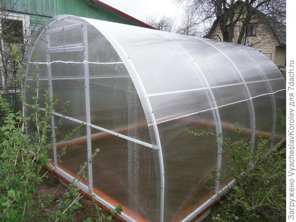 Теплица Бастион