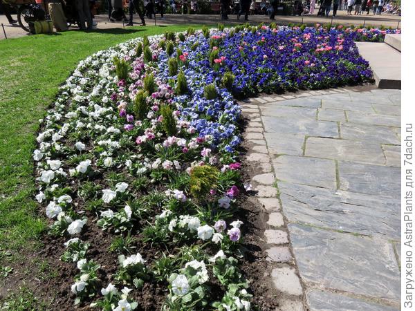 В парке Эспланада, у памятника И.Л.Рунеберга - финского поэта.