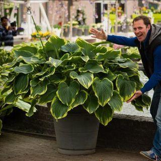 А вот это оригинал фото: